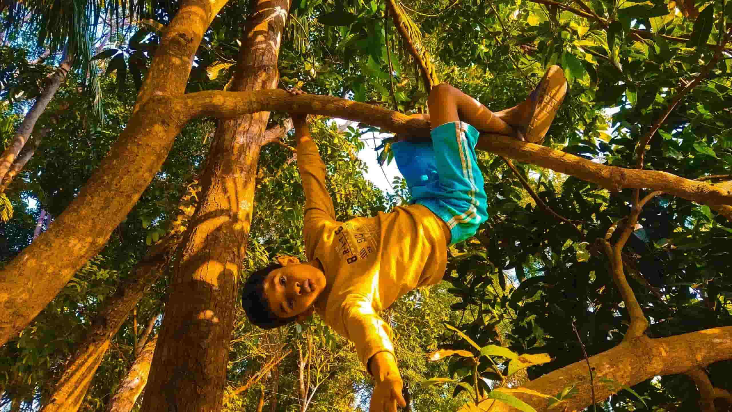 Høyt & Lavt klatrepark